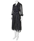 TRUMBO Hedda Hopper (Helen Mirren)  Vintage 1950s Polka Dot Dress