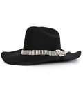 ADVENTURES OF POWER - Dallas Houston (Adrian Grenier) Black Cowboy Hat