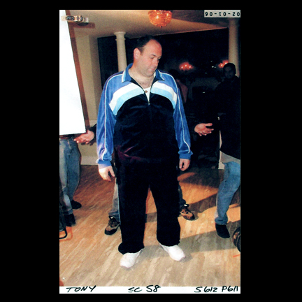 Mentor eiland mengsel THE SOPRANOS - Tony Soprano (James Gandolfini) "Cold Stones" Fila Velour  Tracksuit | The Golden Closet