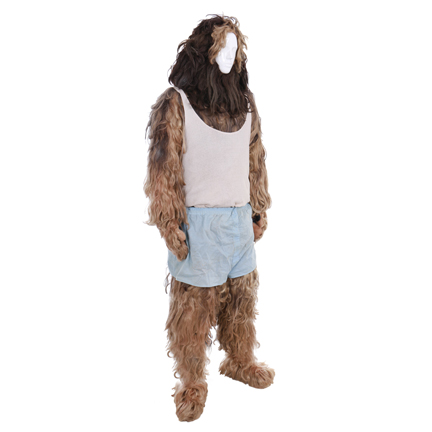 MARRIED... WITH CHILDREN - Buck The Dog (Dereck McGrath) Walkabout Dog Costume